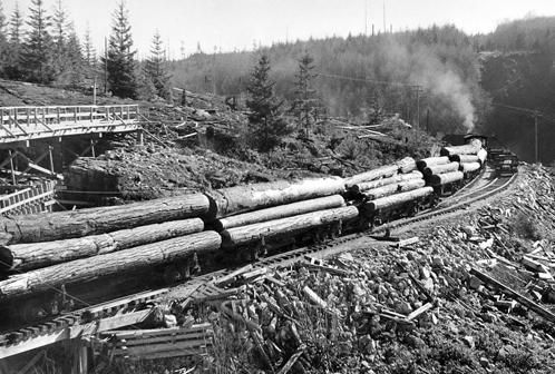 Until 1954, railcars like these carried huge loads of logs for the O'Brien Logging Co. After that, trucks were used.